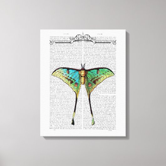 Lebendige Butterfly Leinwanddruck (Vorderseite)