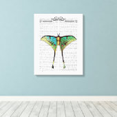 Lebendige Butterfly Leinwanddruck (Insitu (Holzboden))