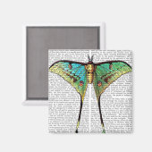 Lebendige Butterfly Magnet (Vorderseite/Rückseite)