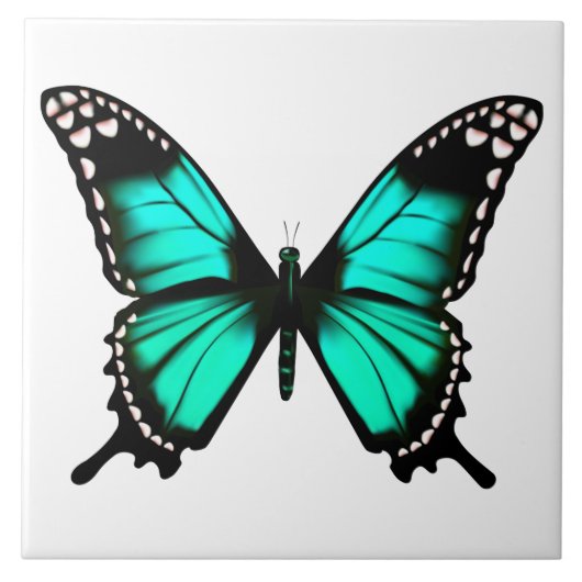 lebendige Farbschmetterling Fliese (Vorderseite)