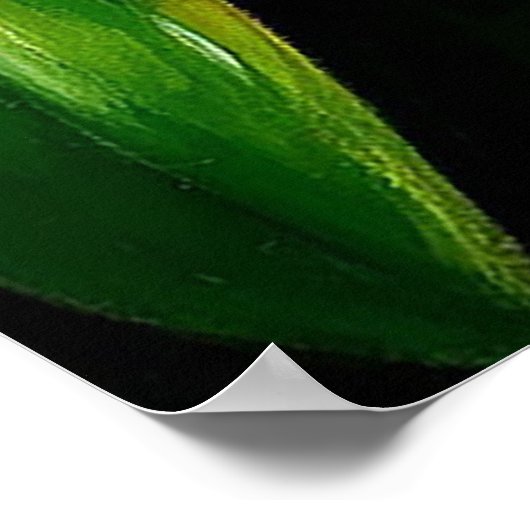 Lebendige gelbe Orchideen mit rosafarbenen Zentren Poster (Ecke)