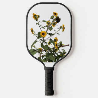 Lebendige gelbe Sonnenblume Pickleball Schläger