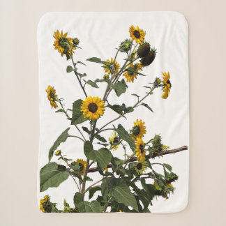 Lebendige gelbe Sonnenblume Sherpadecke