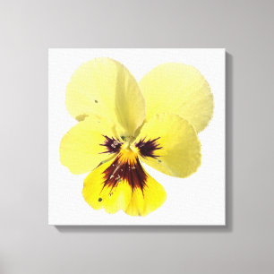 Lebendige gelbe Stiefmütterchen-Blumen-Foto-Leinwa Leinwanddruck