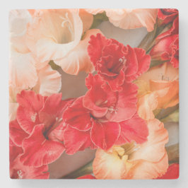 Lebendige Gladiolus-Blumen Steinuntersetzer