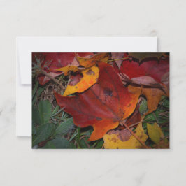 Lebendige Herbstblätter Mitteilungskarte