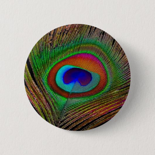 Lebendige Kupfer-Pfauenfeder Button (Vorderseite)