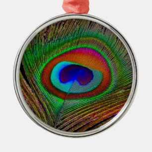 Lebendige Kupfer-Pfauenfeder Silbernes Ornament