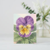 Lebendige lila-gelbe Stiefmütterchen-Blume Botanis Postkarte (Stehend Vorderseite)