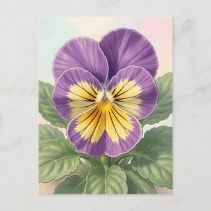 Lebendige lila-gelbe Stiefmütterchen-Blume Botanis Postkarte