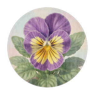 Lebendige lila-gelbe Stiefmütterchen-Blume Botanis Schneidebrett