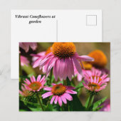 lebendige lila Hotelgäste Postkarte (Vorne/Hinten)