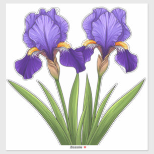 Lebendige lila Iris-Blumen mit grünen Blättern Aufkleber