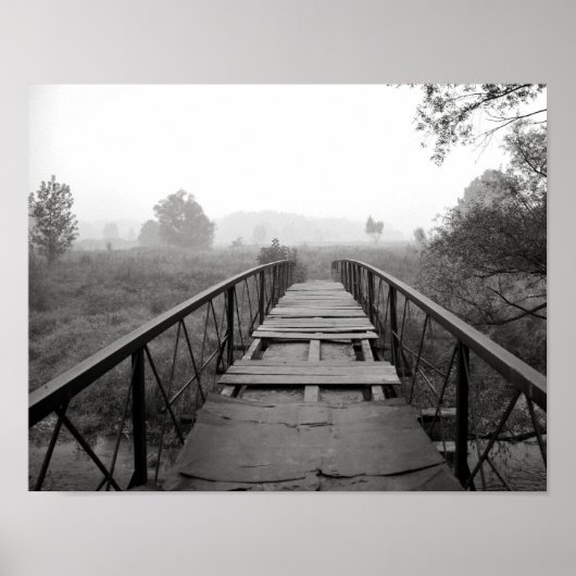 lebendige Makrofotografie in Schwarzweiß Poster (Vorne)