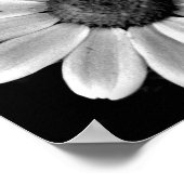 lebendige Makrofotografie mit Schwarzweißfarbe Poster (Ecke)