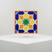 Lebendige marokkanische geometrische Keramikfliese