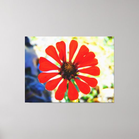 Lebendige orange Blume blüht Leinwanddruck (Vorderseite)