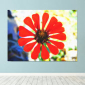 Lebendige orange Blume blüht Leinwanddruck (Insitu (Holzboden))