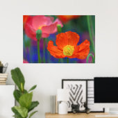 Lebendige Orange Mohnblüte Poster (Heimbüro)