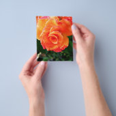 Lebendige Orangefarbene Rosenfotografie Flyer (Gruppe)