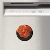 Lebendige Orangefarbene Rosenfotografie Magnet (In Situ (Geschirrspüler))