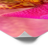 Lebendige Orchidee Poster (Ecke)