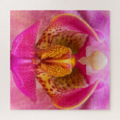 Lebendige Orchidee Puzzle (Horizontal)