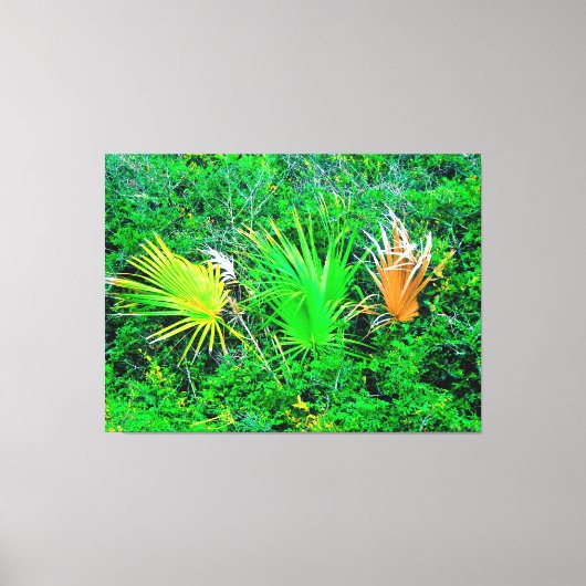 Lebendige Palmwedel Leinwanddruck (Vorderseite)