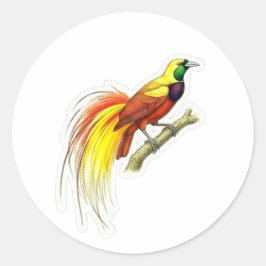 Lebendige Paradiesvogel-Kunst - Ikonisches Indones Runder Aufkleber