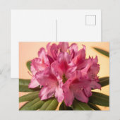 Lebendige Pink Rhododendron-Blüte Postkarte (Vorne/Hinten)