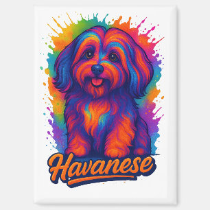 Lebendige Pop-Art Havanese-Hund – farbenfrohe Stre Magnet