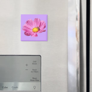 Lebendige rosa Blume mit einer Biene an einem Somm Magnet