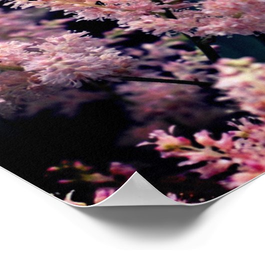 Lebendige rosa Blume Nah Poster (Ecke)