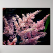 Lebendige rosa Blume Nah Poster (Vorne)