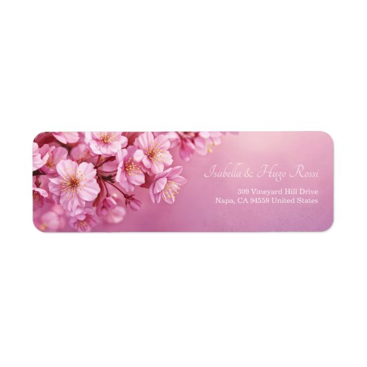 Lebendige rosa Blüten texturierte Rose Botanisch (Vorne)