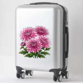 Lebendige rosa Chrysanthemen blühen Aufkleber (Koffer)
