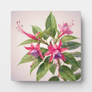Lebendige rosa Fuchsienblüte Fotoplatte