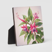 Lebendige rosa Fuchsienblüte Fotoplatte (Vorderseite)