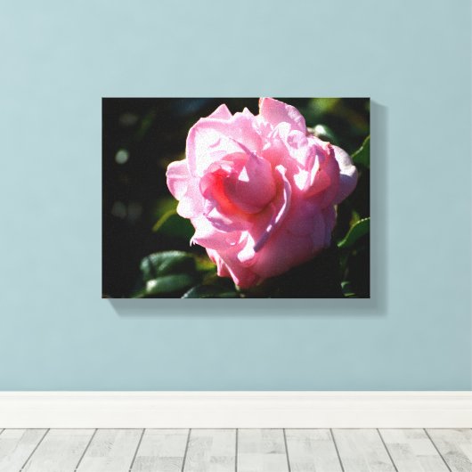 Lebendige rosa Kamelie Blume Leinwanddruck (Insitu (Holzboden))