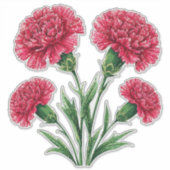 Lebendige rosa Nelken mit grünen Stielen Aufkleber (Vorderseite)