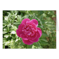 Lebendige rosa Pfingstrosen-Blumen-Jubiläumskarte
