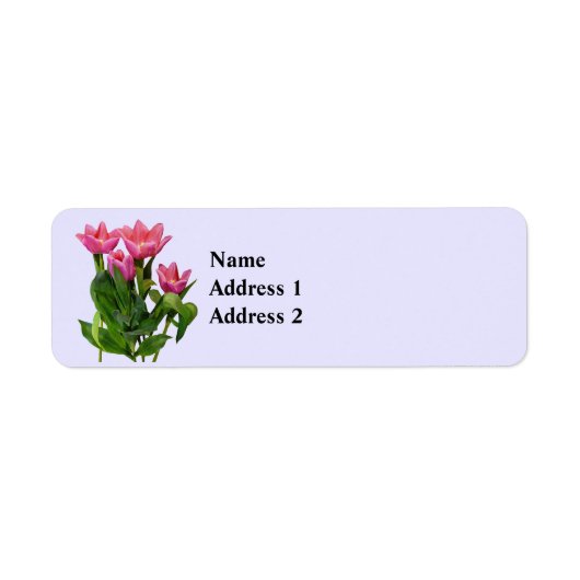 : Lebendige rosa Tulpen (Vorne)