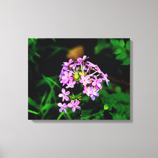 Lebendige rosa Wildblume Leinwanddruck (Vorderseite)