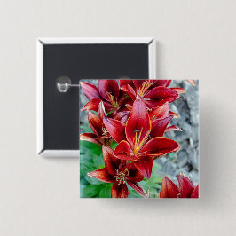 Lebendige rote Stargazer-Lilie Botanische Blume Button
