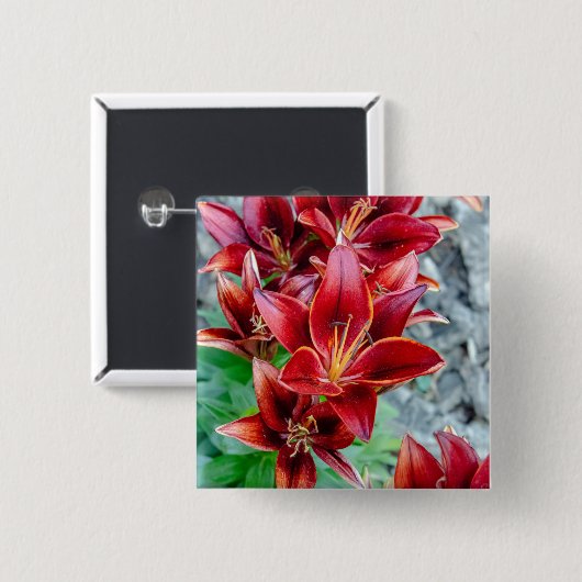 Lebendige rote Stargazer-Lilie Botanische Blume Button (Vorne & Hinten)
