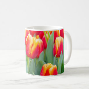 Lebendige rote und gelbe Tulpen im Frühlingsgarten Kaffeetasse