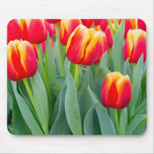 Lebendige rote und gelbe Tulpen im Frühlingsgarten Mousepad