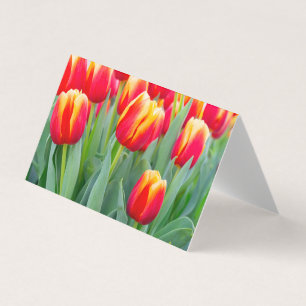 Lebendige rote und gelbe Tulpen im Frühlingsgarten Visitenkarten