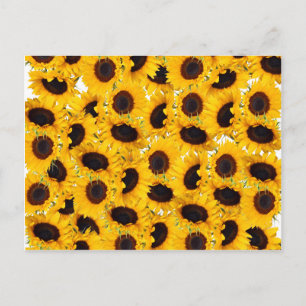 Lebendige Sonnenblumen Natur Blumenmuster Postkarte