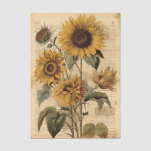 Lebendige Sonnenblumen und Vintage-Schrift Seidenpapier